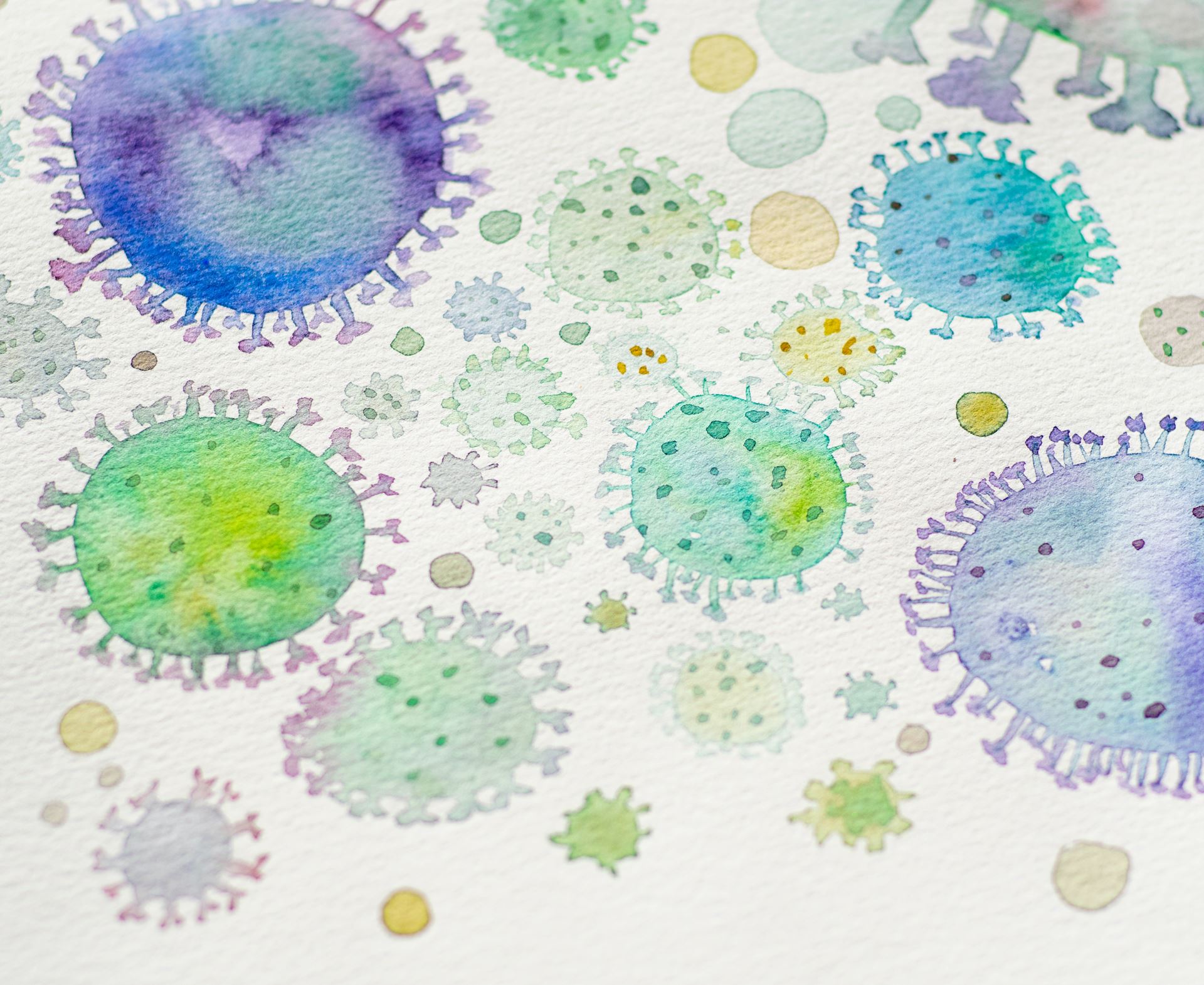 flu virus
